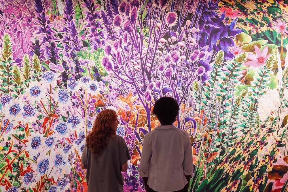この世界を、人間以外の視点でデザインしたら？英・Design Museumの『More than Human』展レポート width=
