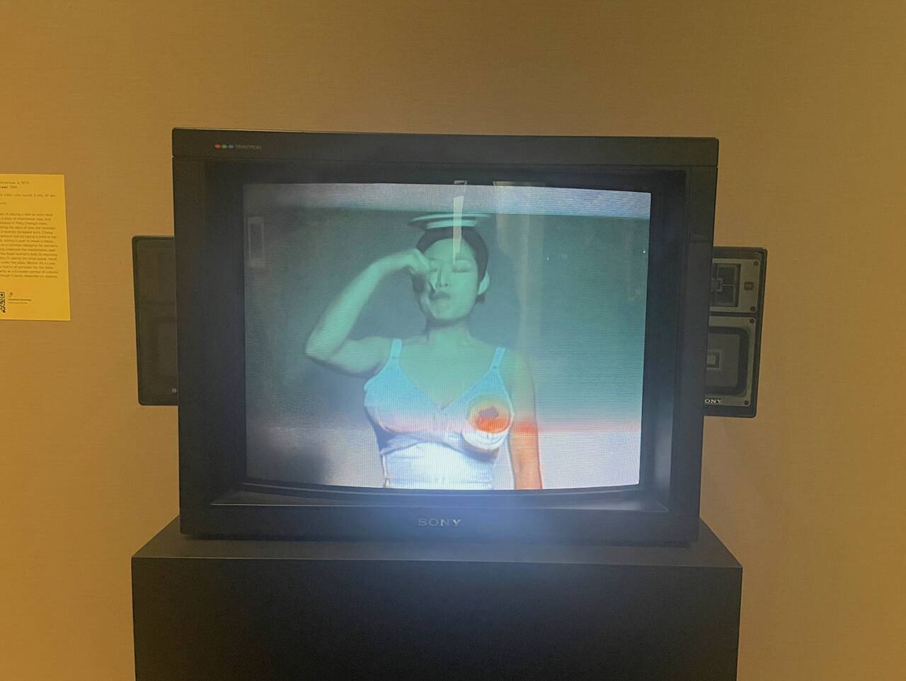 Melons (at a loss), メロン(喪失), Patty Chang, American, 1998