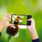 生物多様性を守るカギは、市民科学？スマホで参加できるカナダのデータ収集プロジェクト