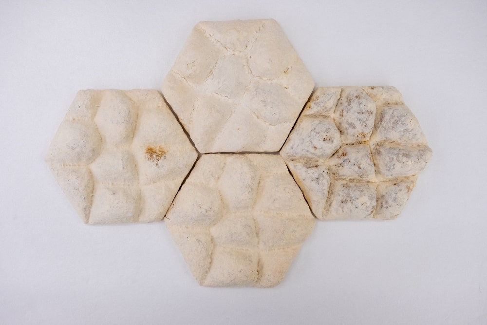 Fungi tile