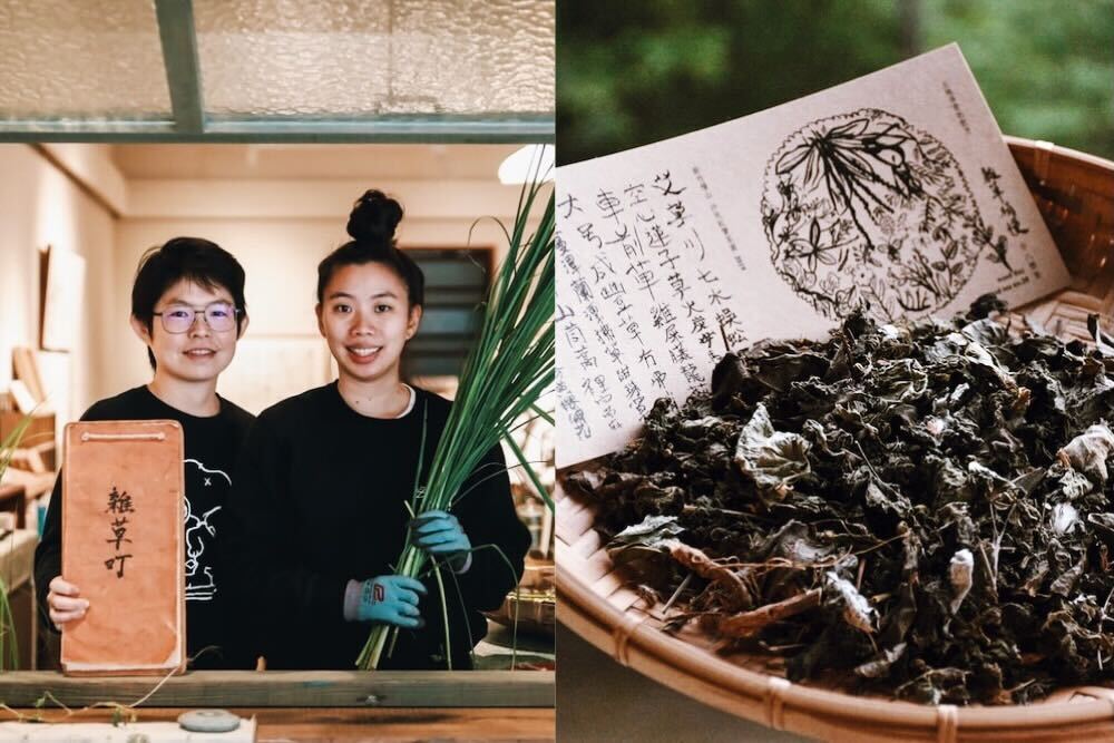 雑草採集から暮らしの“十分さ”を測り直す、台湾のアートチーム「Weed Day」