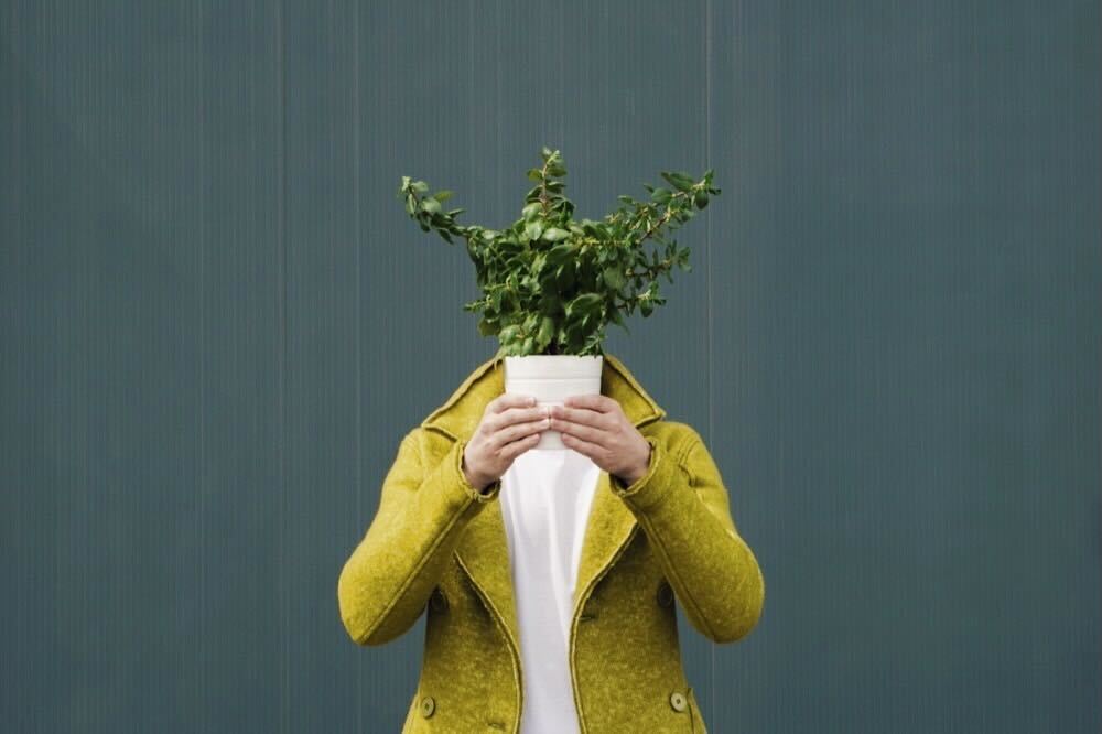 植物を顔の前に持つ人