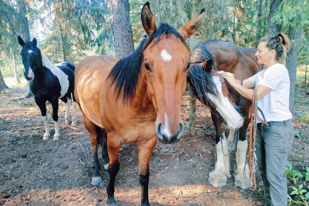 かつて人を乗せた馬は、いま心のパートナーに。動物たちとの対話に教えられた、効率に縛られない真の豊かさとは width=