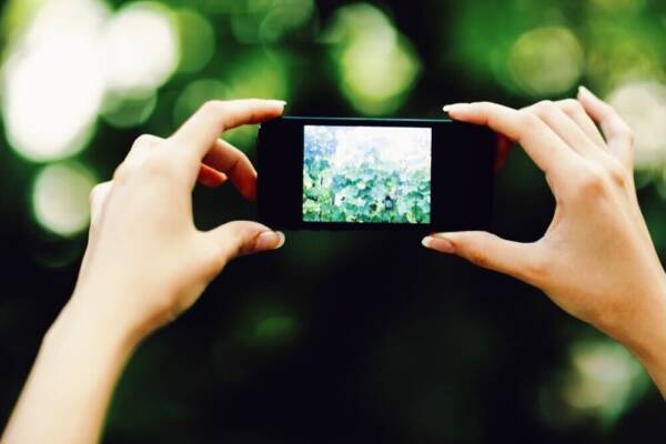 スマートフォンで写真を撮る様子