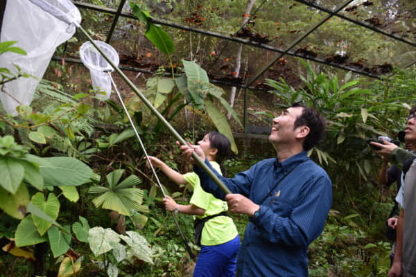 熱帯雨林でチョウを探す福岡伸一先生と中学生