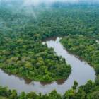 ブラジルで開催のCOP30。気候変動に関する国際交渉の争点は？