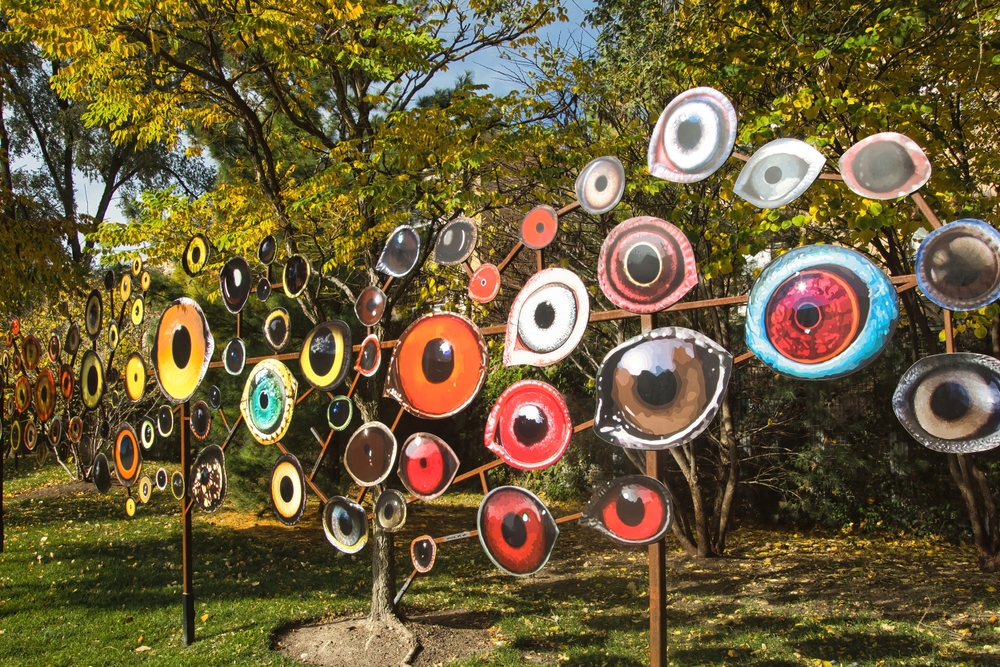 Birds Watching ／ Jenny Kendler 