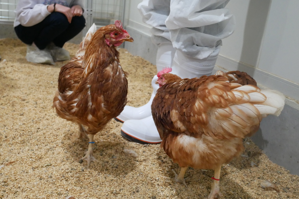 Unshelledイベント