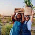 気候変動解決に向けた、世界のできごと【2025年ハイライト】