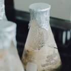 捨てるはずのバイオマス素材を、ヘルスケアに。ファーメンステーションと岩手大学が共同研究を開始