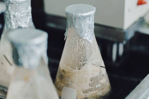 未利用バイオマス素材のイメージ