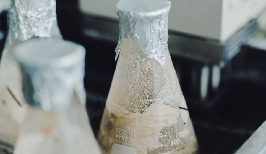 未利用バイオマス素材のイメージ