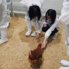 卵の“見えない価値”を探る。循環型鶏舎で、人も動物も幸せになる食の未来を考える【イベントレポ】