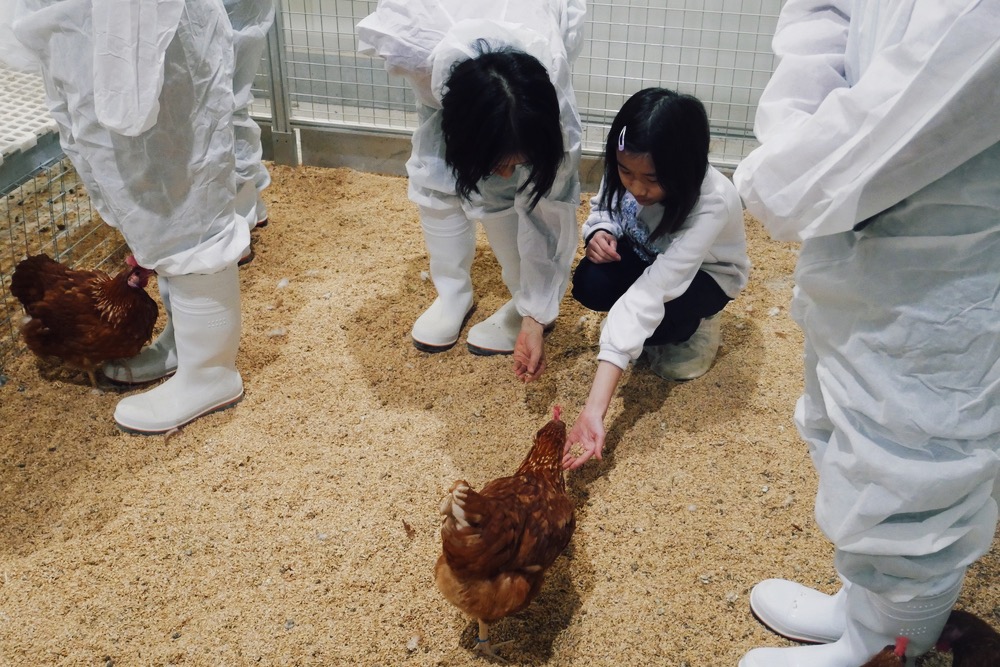 卵の“見えない価値”を探る。循環型鶏舎で、人も動物も幸せになる食の未来を考える【イベントレポ】 width=