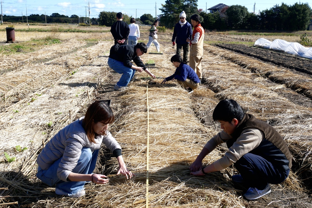 1日目に訪問したいすみ市の「ミナモトファーム」での農作業体験の様子