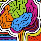 違いは力になる。“超多様”な世界をひらくニューロダイバーシティ展「みんなの脳世界」レポート