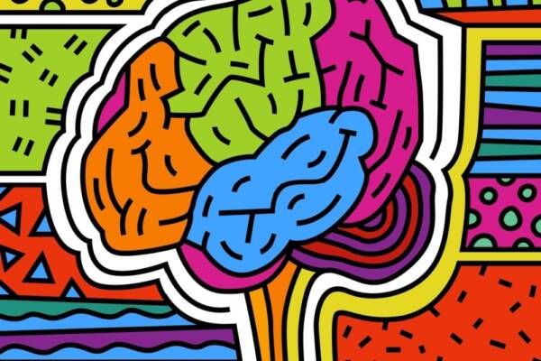 カラフルな脳