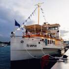 世界初、海に浮かぶ銀行。災害時に備える、トルコの次世代インフラ