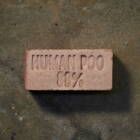 「都市の内臓」で境界が溶ける。横浜・下水処理場のアート展で見つけた、万物が等しくある景色