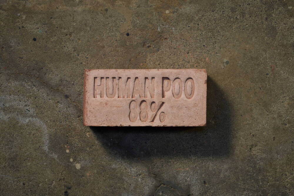 「都市の内臓」で境界が溶ける。横浜・下水処理場のアート展で見つけた、万物が等しくある景色 width=