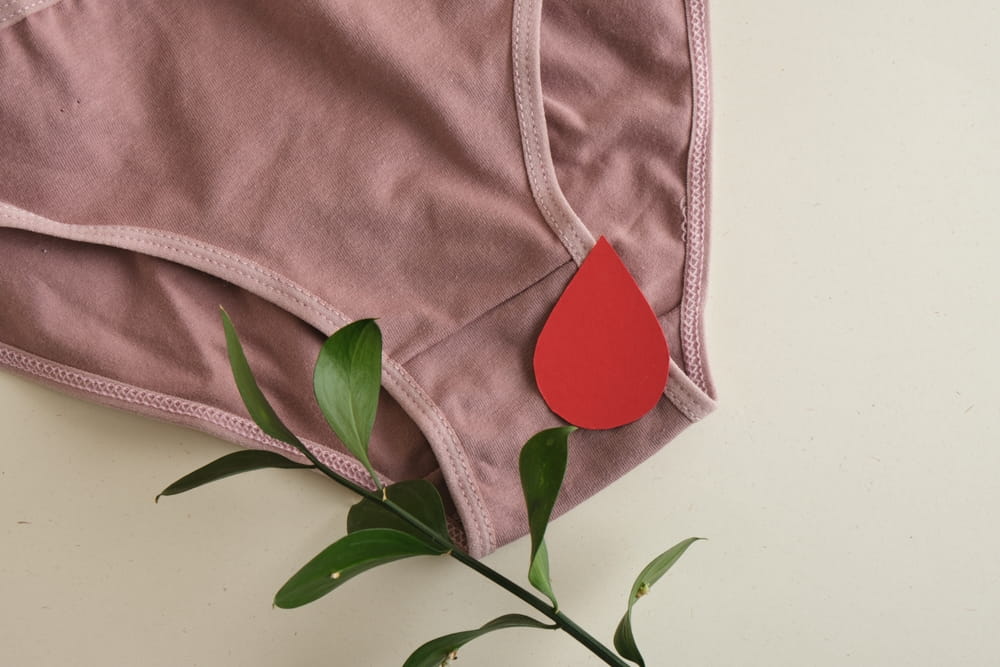 生理用品を「日常」の一部へ。必須制服のリストに吸水ショーツを追加する南米のプロジェクト