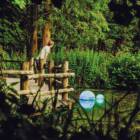 水の健康状態がわかる光？自然の声を「数字以外で」届けるデザインの意義