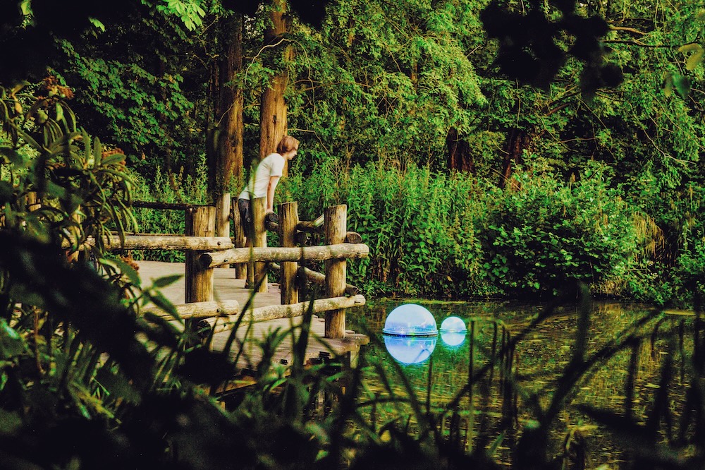 水の健康状態がわかる光？自然の声を「数字以外で」届けるデザインの意義 width=