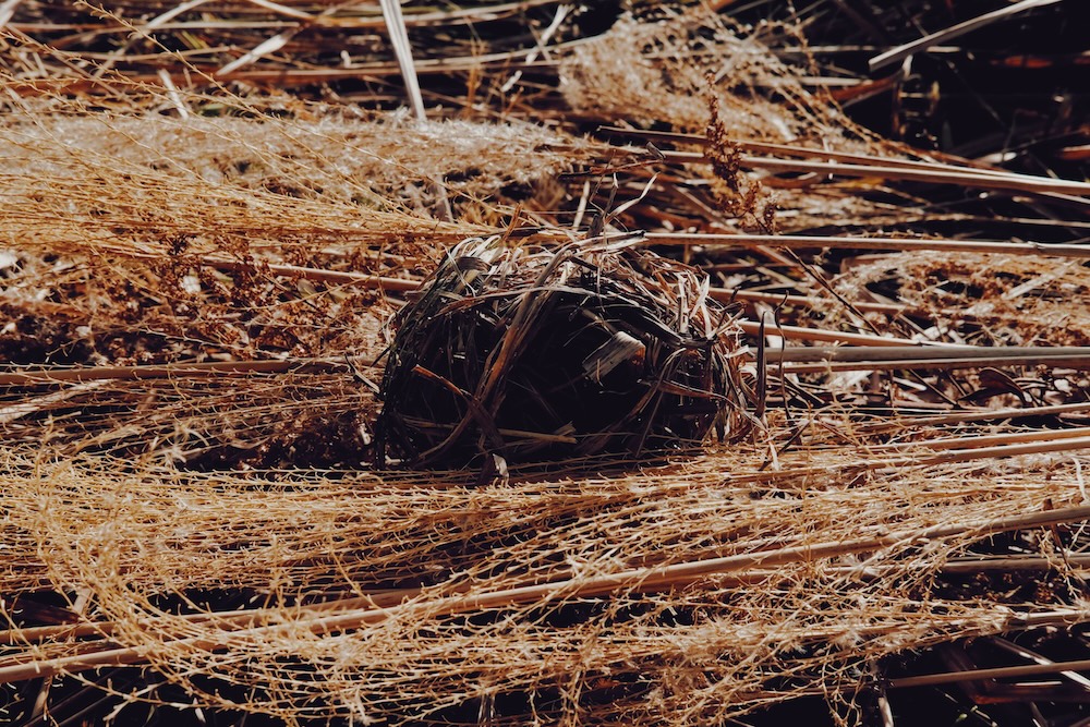 コミュニティ飽和時代。茅刈りをしながら、欠けている「何か」を考える width=