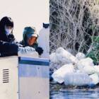 真珠から始まる、海の再生。世界最古の宝石の現場で考える「地球のゲスト」としての生き方