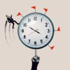 100年変わらぬ「週休2日」は、正解なのか。SHIROの新制度「週休2.5日制」を脱成長の視点から考える