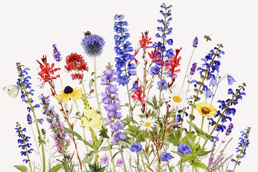 ハチやチョウの暮らしを地域設計に反映する「ポリネーター地区」とは。受粉を軸にしたまちづくりへ width=