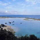 効率を手放し、「つながりの確認」のために集う。徳之島「シマモリ」が問い直す、生命の源流へ還る旅