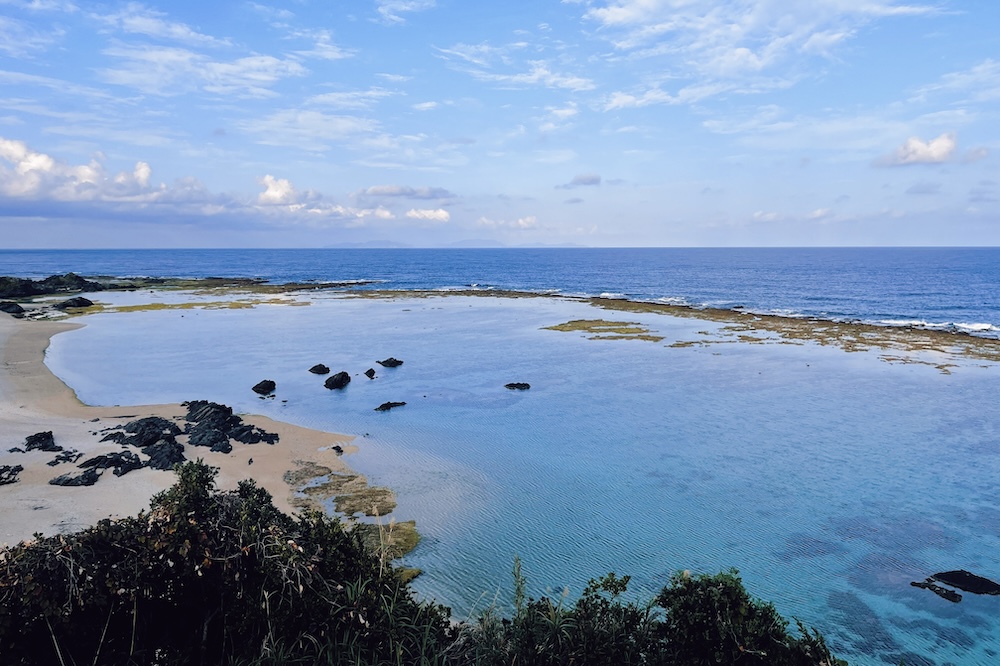 効率を手放し、「つながりの確認」のために集う。徳之島「シマモリ」が問い直す、生命の源流へ還る旅 width=