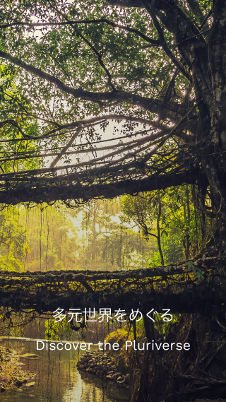 多元世界をめぐる