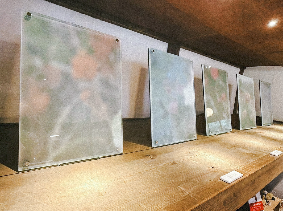印刷した花の写真をすりガラスで覆った作品群「Veil series」