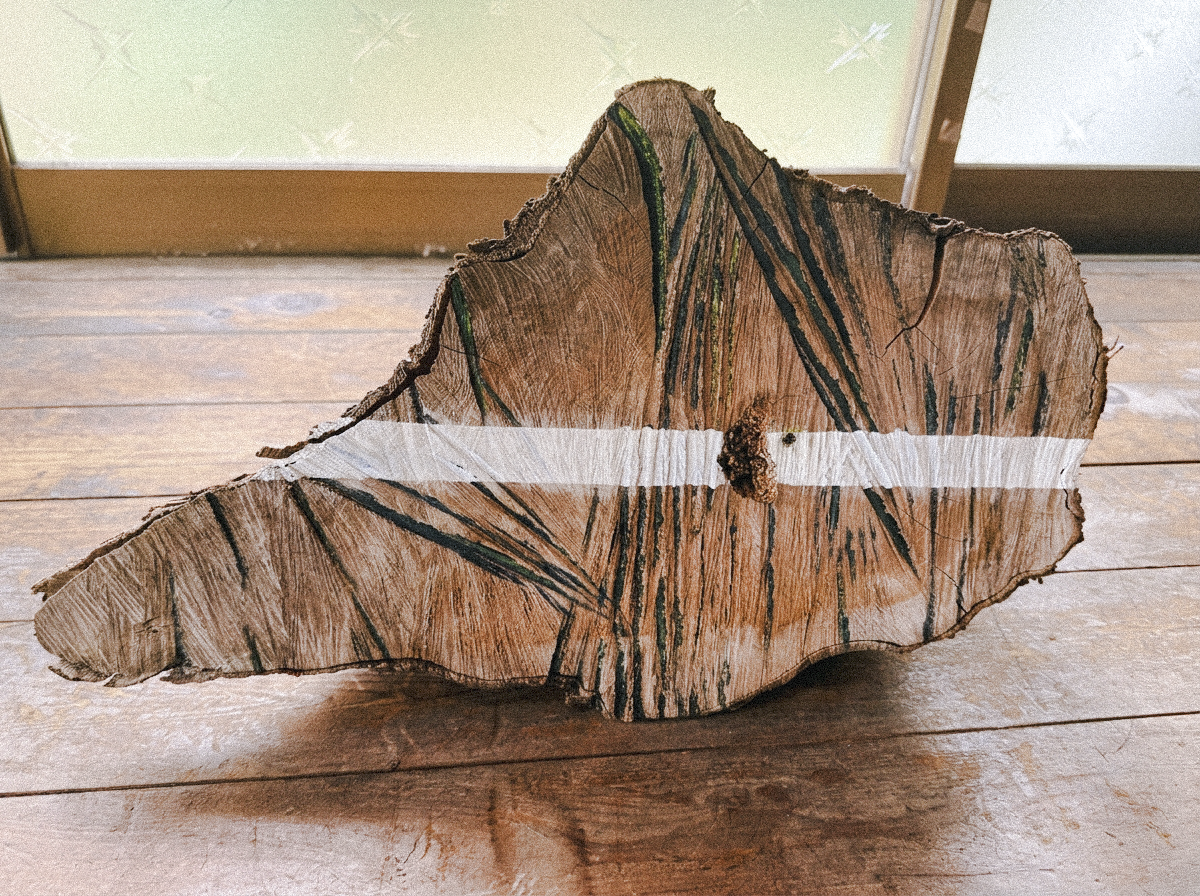 ヒノキの作品「傷つけられたものたちへ、傷つけたものたちから」