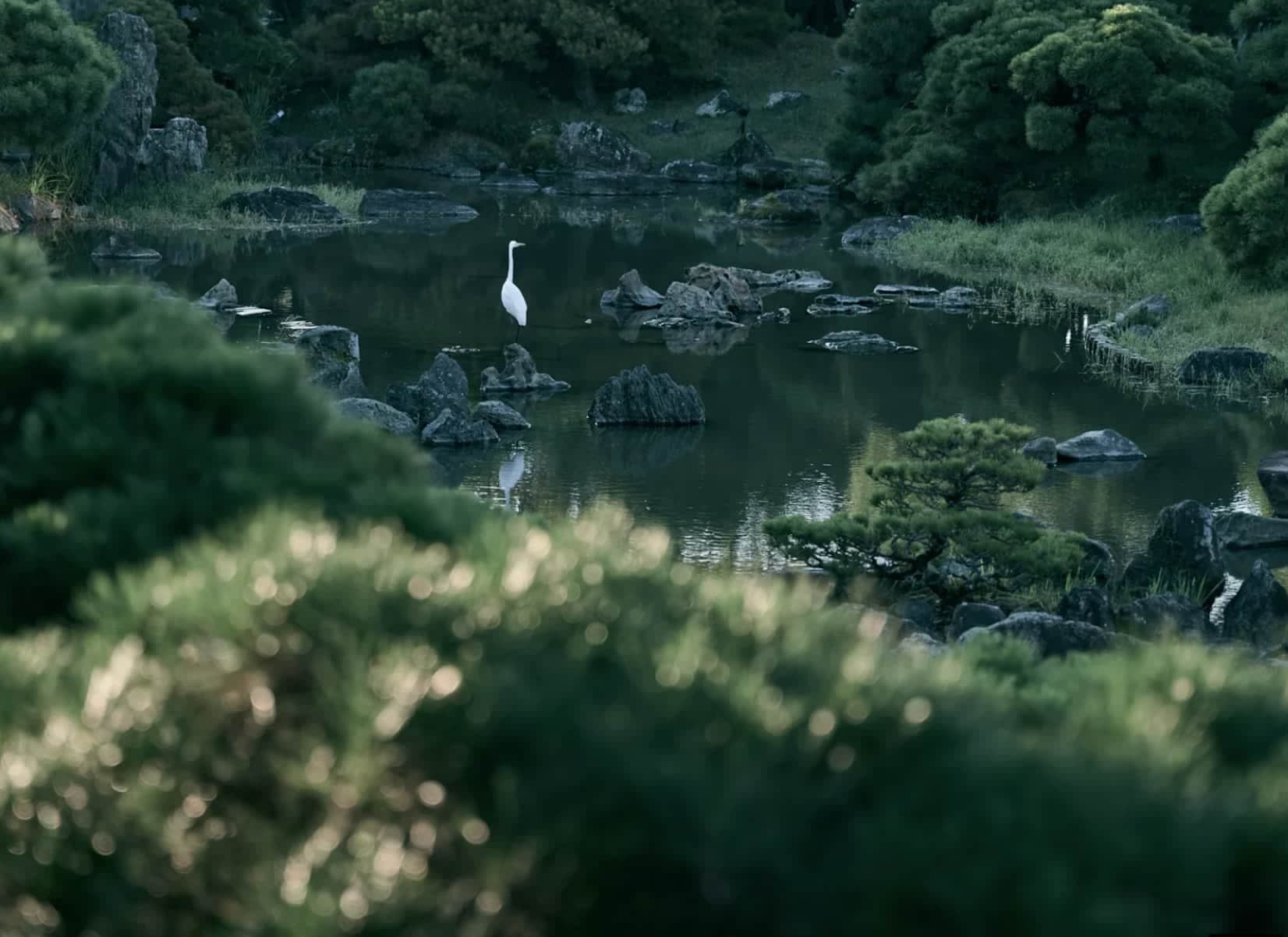 御花の庭園