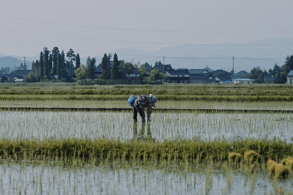 散居村