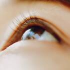 複雑な気候変動を、誰と共にどう理解するか。デザイン思考とMore than Humanが問い直す未来の描き方【イベントレポ】