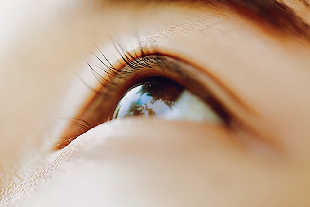 複雑な気候変動を捉える「姿勢」を問う。デザイン思考とMore than Humanの視点は、どう未来を描くのか?【イベントレポ】 width=