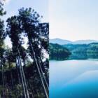 水の“見えない恩恵”を可視化。四国の水源地で始まる、都市と山村の「流域連携」