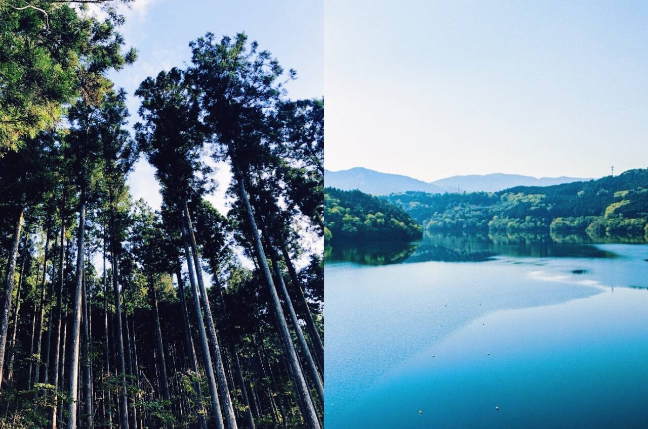 水の“見えない恩恵”を可視化。四国の水源地で始まる、都市と山村の「流域連携」 width=