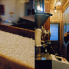 “生命力”が優しい変化を起こす。智頭町でタルマーリーが『腐る経済』の先に見出した、感性をひらく選択