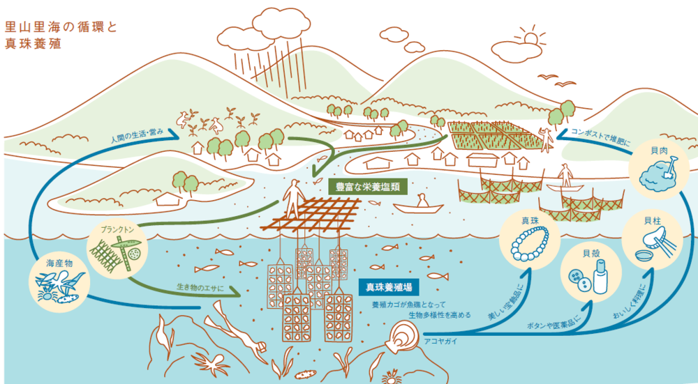 真珠の里山里海循環