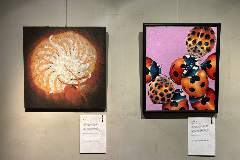 害蟲展