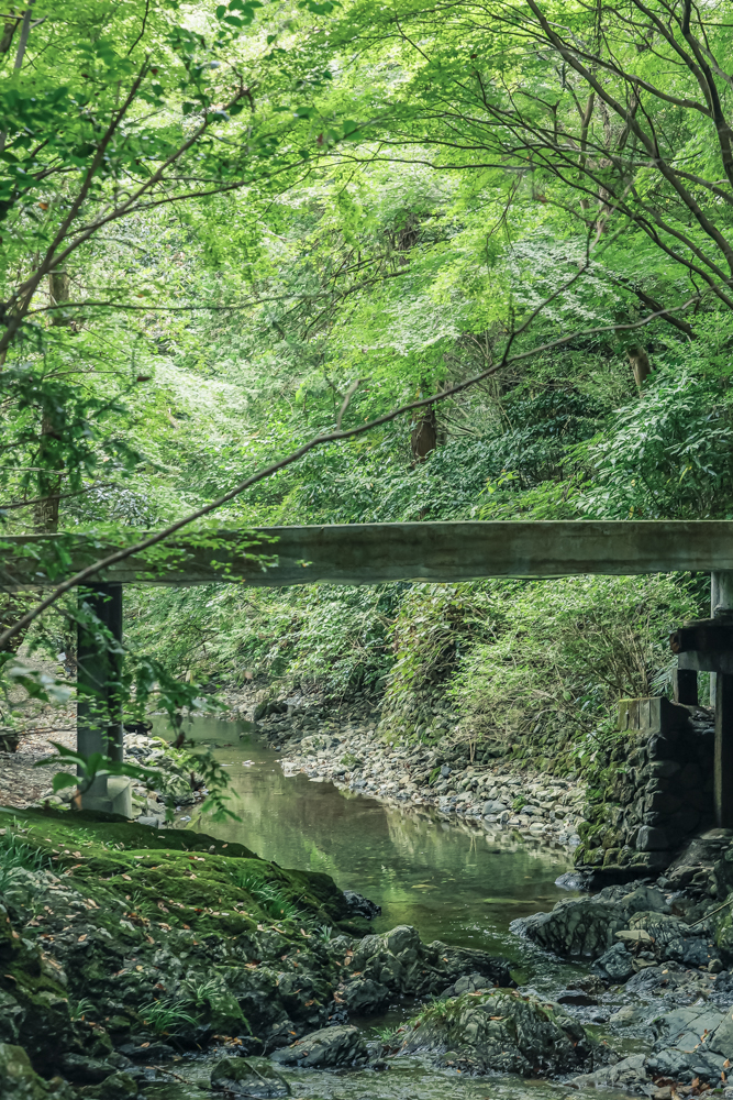 自然人村、三内川