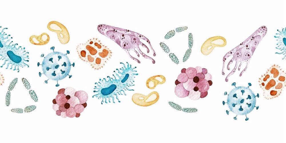 カラフルな微生物の絵