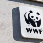 WWF、企業向けのサーキュラーエコノミー戦略ガイド日本語版を発表