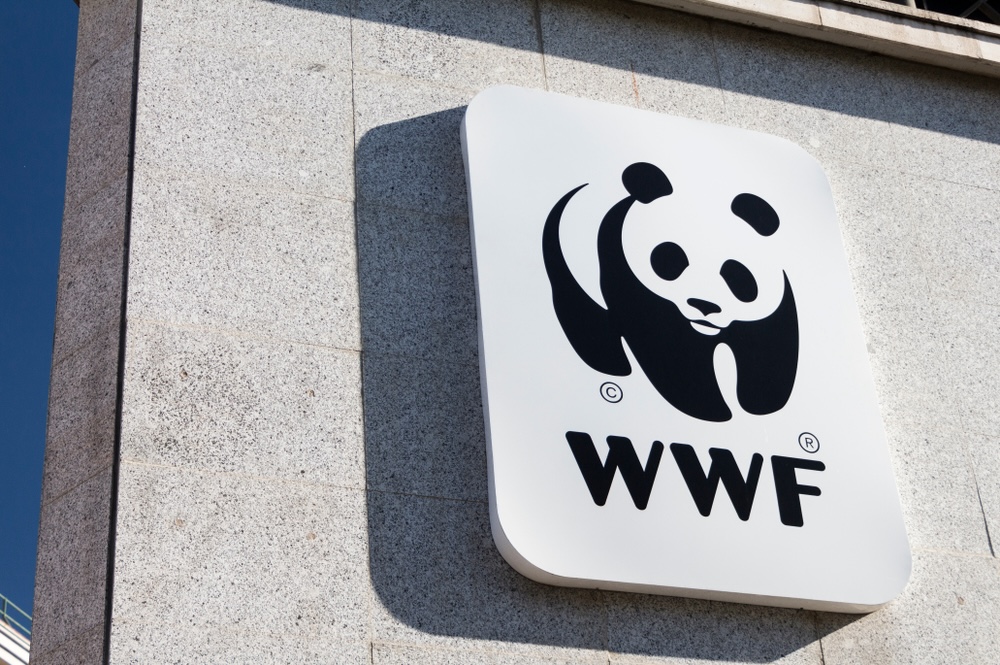 WWF、企業向けのサーキュラーエコノミー戦略ガイド日本語版を発表 width=